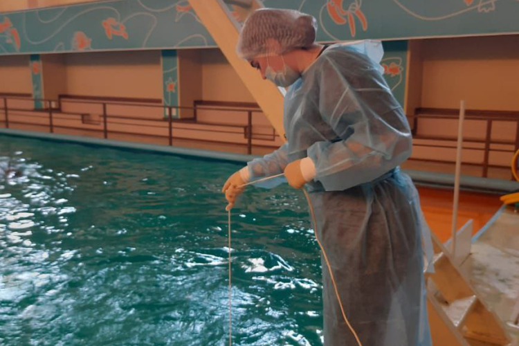 ФГБУ «Краснодарская МВЛ» исследовало 236 проб воды в дельфинариях